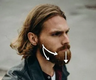 direction for beard brushing