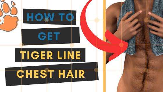 How To Trim The Perfect Tiger Line Chest Hair