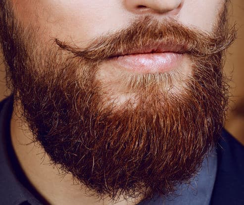 Beard with handlebar closeup
