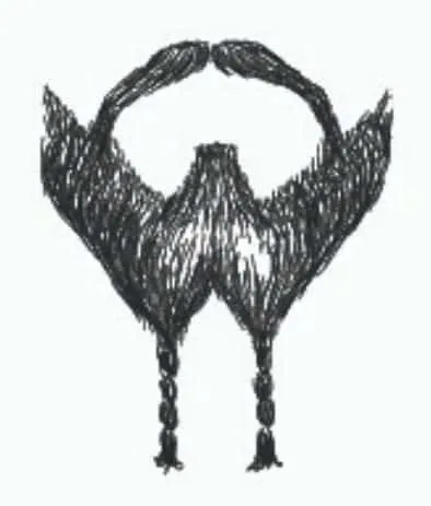 french fork braided goatee drawing