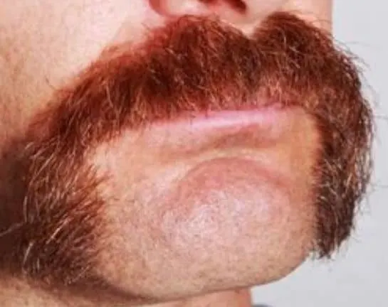 electric trimmer mustache cut