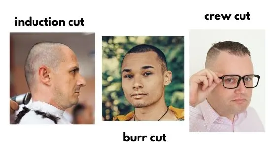 Burr cut, induction cut and crew cut
