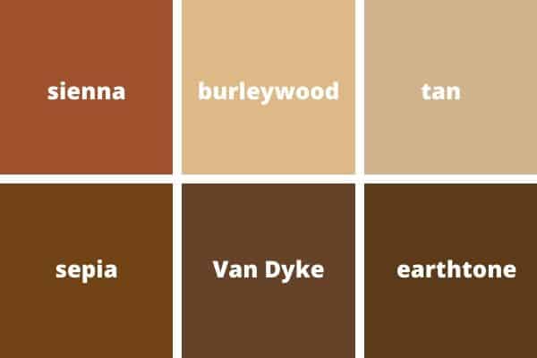 Different shades of brown