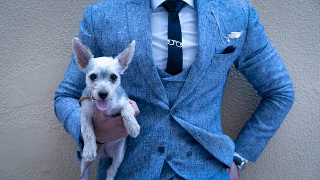 example of a textured blue suit