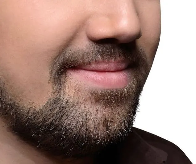 extended goatee example