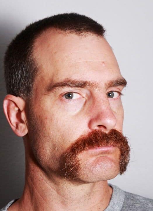 horseshoe mustache example