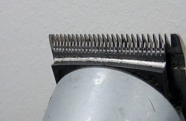 a hair clipper