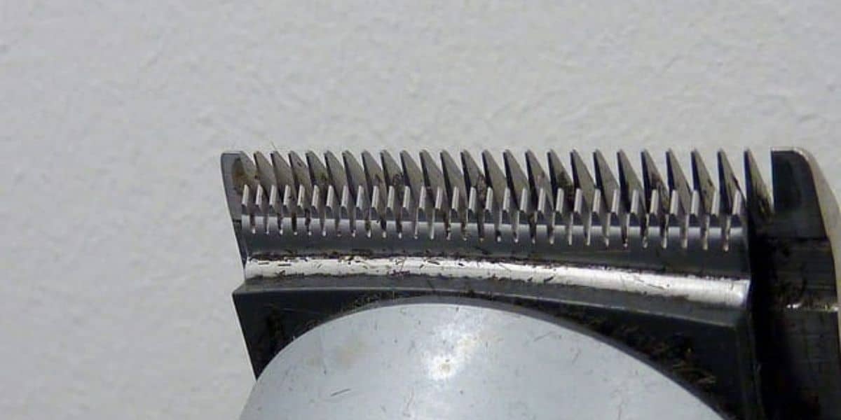 dog clipper blade sharpening