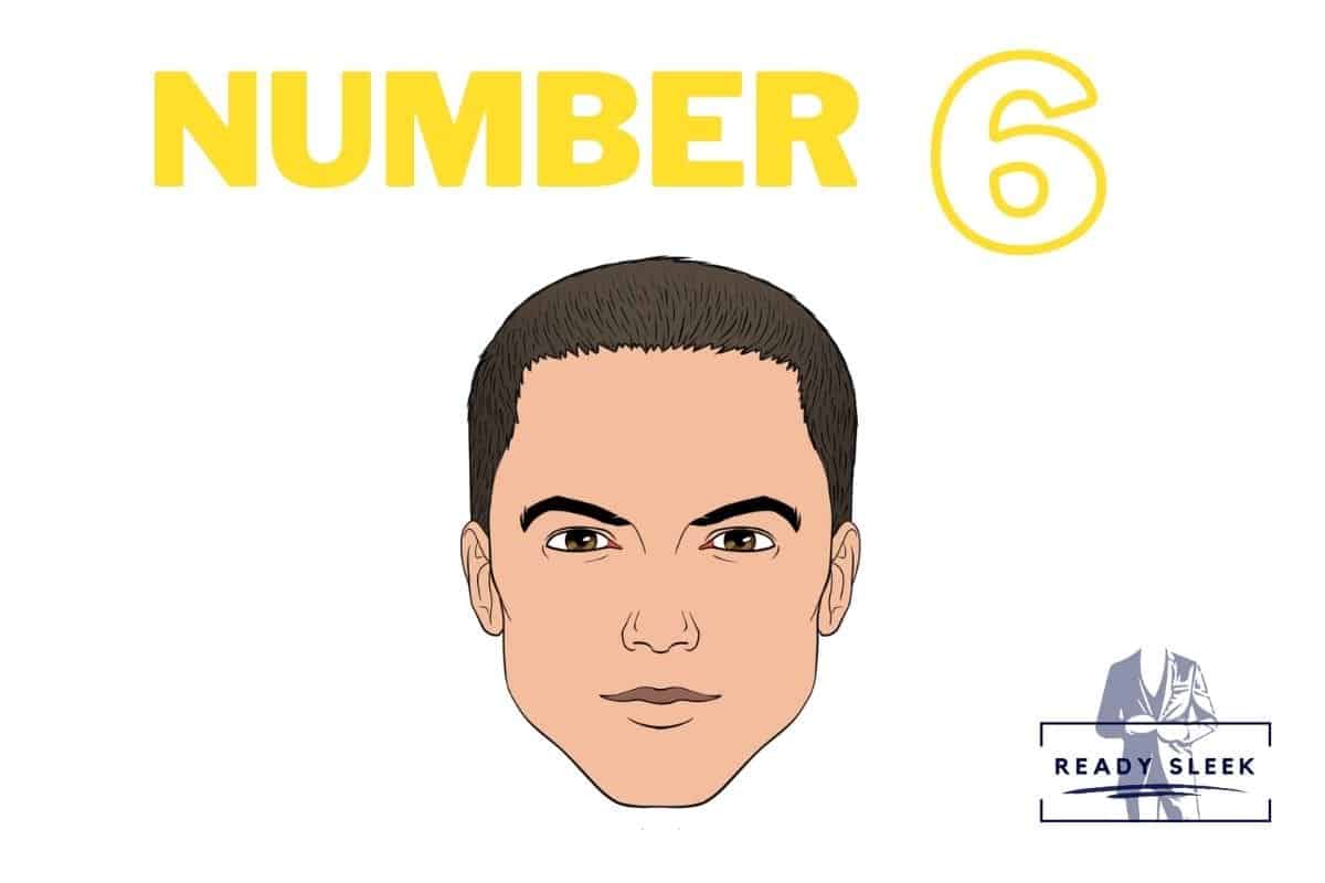 illustration of a #6 buzz cut