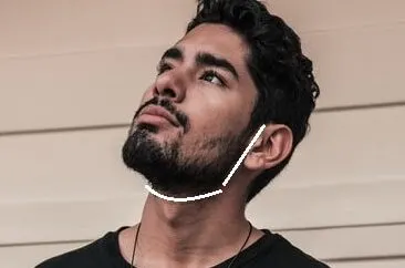 beard neckline definition