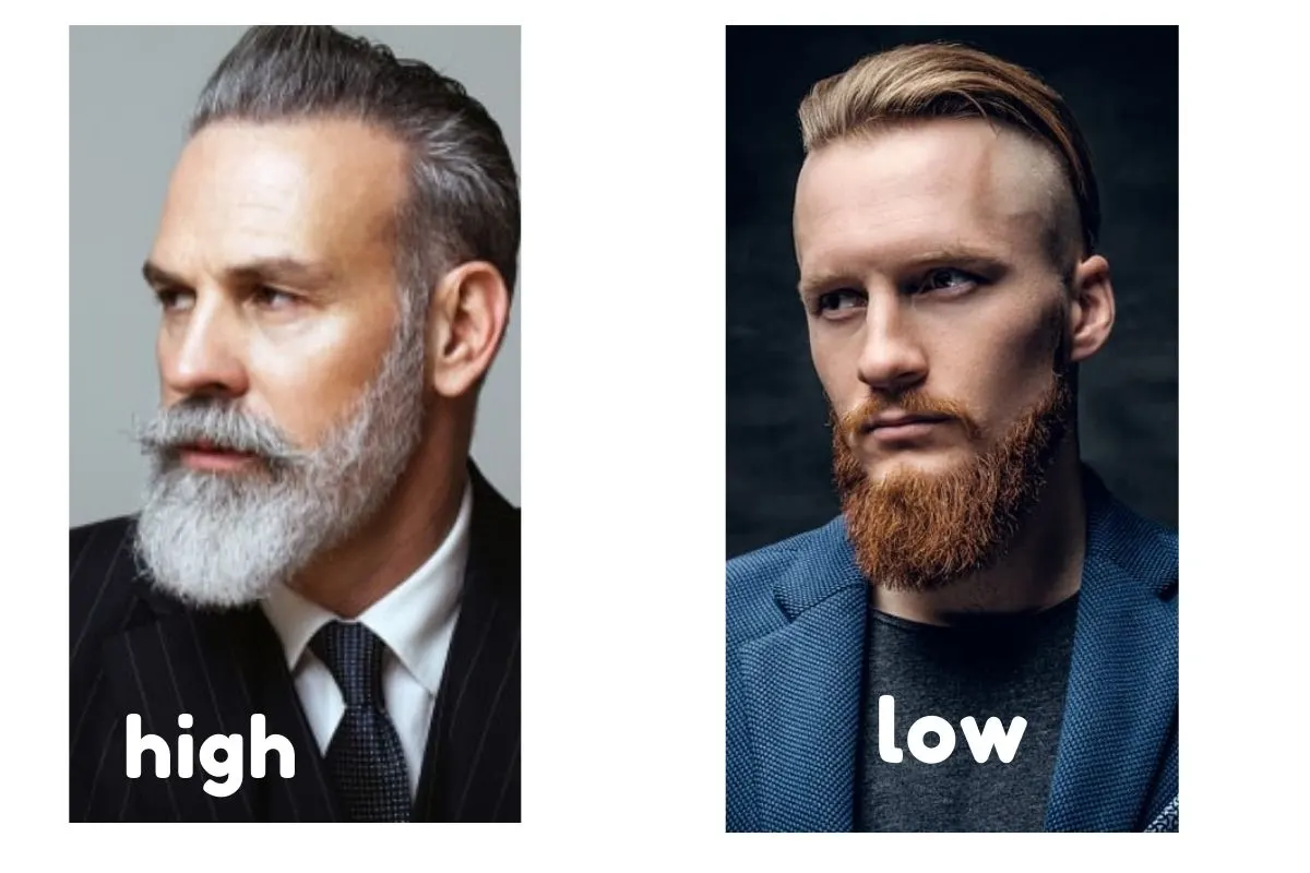 medium boxed beard - low vs high cheek line